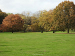 Schelfhorstpark